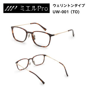 y9/4 20:00`9/11 01:59܂P10{IN[|zݐiœ_Y ̗p ~GPRO i~Gvj v~AVዾ EFg Eh yʃt[ `^ Ee UVJbg u[