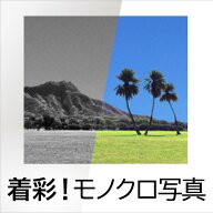 【マラソン限定価格】着彩！モノクロ写真[Windows用][写真着色ソフト]　白黒写真 カラー化　AI 写真 修正