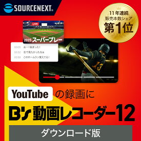B's 動画レコーダー 12 【ダウンロード版】 DL_SNR