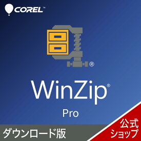 WinZip 30 Pro 【ダウンロード版】 DL_SNR