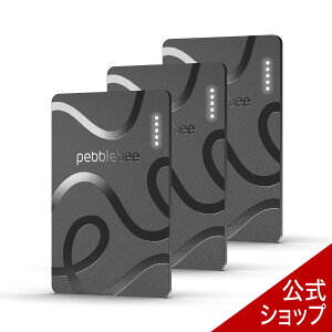 Pebblebee�i�y�u���r�[�jCARD (�J�[�h)5 PB-CD5R0110E2 3�Z�b�g