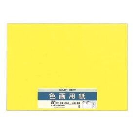色画用紙 N455 レモン 10セット Pエ-N45LY