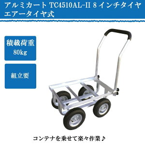 Vo[ A~ J[g l nEX n A~J[g Rei