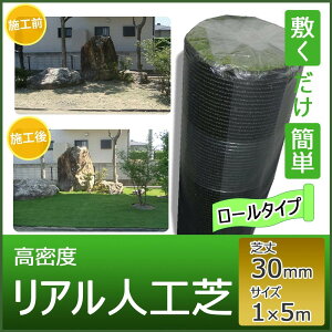 [^CvAlH 30mm@StKpAlHŁ@5m