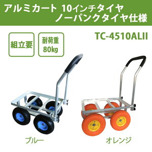 A~J[g 10C`^C m[pN^Cdl TC 4510ALII 1