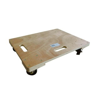  ؐ Ǝҗp ؐ LX^[ Ɩpؐ 100kg