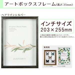 A.P.J. BOXt[ A[g{bNXt[ :35mm C`TCY 203×255mm wACVo[ 0021768528