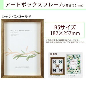 A.P.J. BOXフレーム アートボックスフレーム 高さ:35mm B5サイズ 182×257mm シャンパンゴールド 0021768719