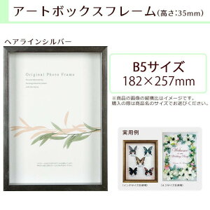 A.P.J. BOXフレーム アートボックスフレーム 高さ:35mm B5サイズ 182×257mm ヘアラインシルバー 0021768726