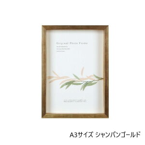 A.P.J. BOXt[ A[g{bNXt[ :35mm A3TCY 297×420mm VpS[h 0021768696