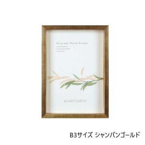 A.P.J. BOXt[ A[g{bNXt[ :35mm B3TCY 364×515mm VpS[h 0021768757