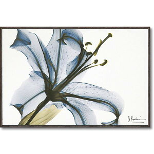 A[gpl@ԁ@_A[g G@A[gpl _@Ǌ|G