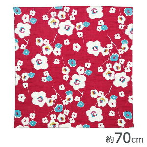 Rc@ہ@ނ@70@ȃ_K[@~@AJ@20452-202@PPܓ