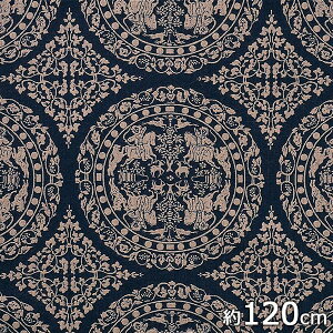 Rc@ہ@ނ@C~ ӂ낵 120@q@  @R@20821-007