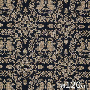 Rc@ہ@ނ@C~ ӂ낵 120@q@  񓂑@R@20821-010