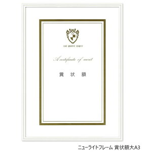A.P.J. A~t[ j[Cgt[ ܏zA3 315×440mm zCg 0020280619
