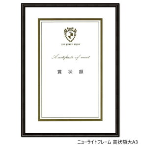 A.P.J. A~t[ j[Cgt[ ܏zA3 315×440mm ubN 0020280626
