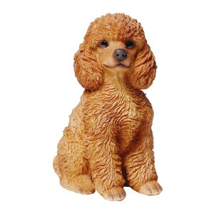 hbOI[ig gC v[h 14077