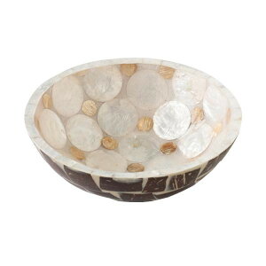 おしゃれシェルトレイ 貝殻トレイ 貝殻 インテリア シェルトレイ