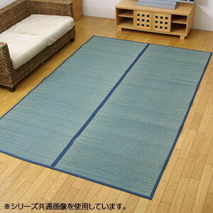 ԂJ[ybg O DXN[ u[ ]ˊ6 261×352cm 4320206