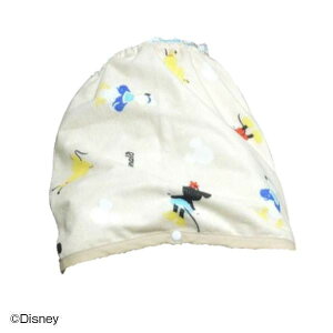 ˂pc ˂΍ pW} ˂Pbg ˂Y{