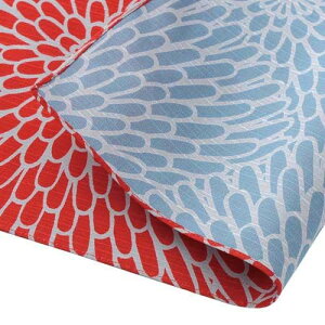 Rc@ C~ ӂ낵 `[t ɍl  e AJ/ZCW 20479-113 PPܓ