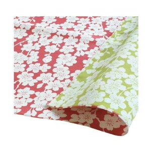 Rc@ C~ ӂ낵 `[t ɍl   sN/O[ 20479-132 PPܓ