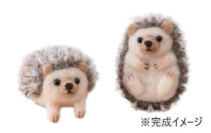 }XRbg tFg   tFg }XRbg 