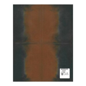 a L 480×310mm@10 I-538 1 Zbg