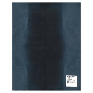 a L 480×310mm@10 I-545 1 Zbg