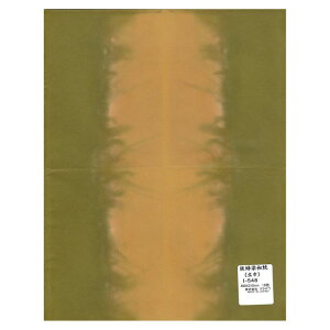 a L 480×310mm@10 I-548 1 Zbg