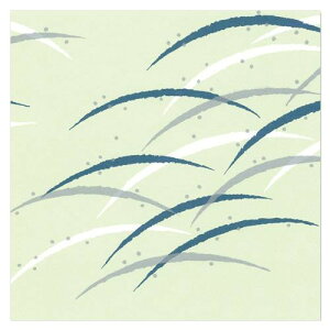  Sbv XXL  S 100Zbg S-255B