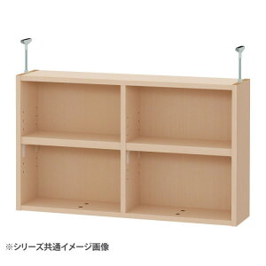 TAIYO OWR I[_[ChbN ˂I 4795X Cgi` LN