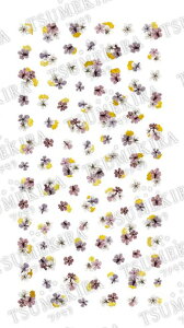 cL lCV[ noble hCt[Ƌ2 NO-DFG-102 WFp