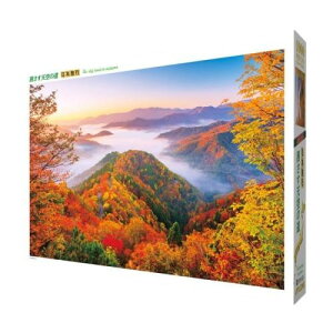 WO\[pY@{i@V̓@1000-826