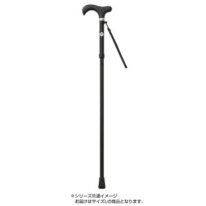 Lk܂肽ݏ ƂĂXebL 炩Obv LTCY CH233171 A06 ubN