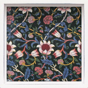 [p[ nX ~jA[gt[ EBA X C[[h LA-01263