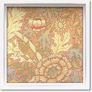 [p[ nX ~jA[gt[ EBA X mb` LA-01267