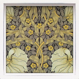 [p[ nX ~jA[gt[ EBA X ͂ LA-01271