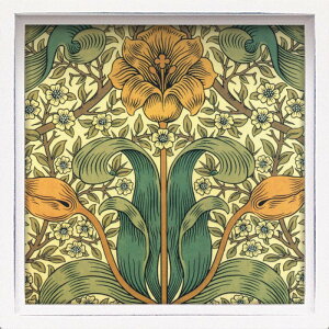 [p[ nX ~jA[gt[ EBA X t̂ LA-01273