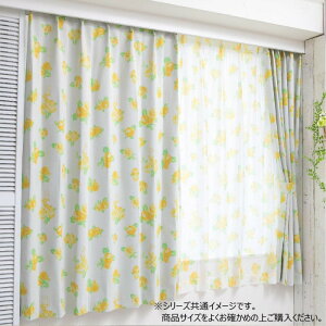 fBYj[ Ɩb x J[e2Zbg 100×200cm SB-634-D