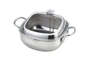 HʒXeXp^VՂ20cm@TP-21