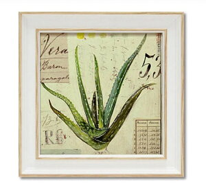 ~jQ A[gt[ AWF X^[O AGx AS-02043