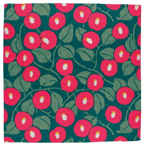 Rc@ C~ 100 ANAhbvTCN |v ΂ XO[ 10261-301