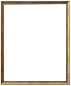 [\ W[ jb| }eB[  509x394mm S[h LJS-22496305