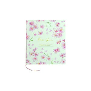 ܂~jF t[@TN@62-201