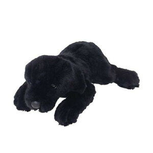 g@uh[go[@ʂ݁@S@ubN 180415