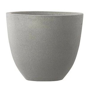 O[|bg Aؔ X^Eg AbV Eh 42cm AN-SA4236RC