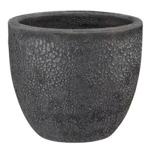 O[|bg Aؔ {J[m Eh FubN 33cm EB-VO3329BK