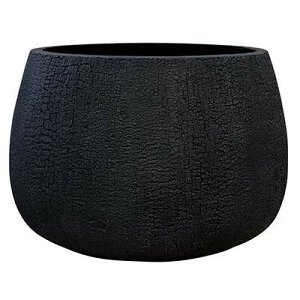 O[|bg Aؔ o[Ebh V[ ubN 32cm GA-2932BK